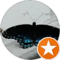 Rosa Avatar